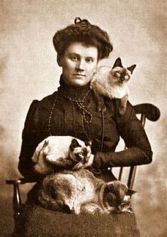 victorian-era woman sitting photographed with three cats